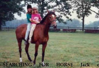 SEARCHING FOR HORSE Jack of Diamonds, Near Jamestown, NY, 00000